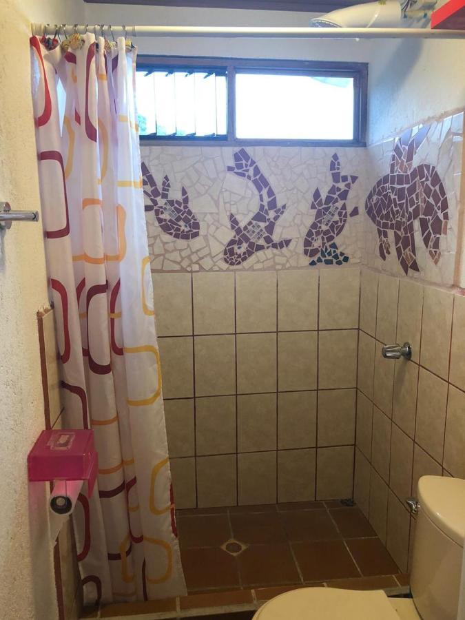 ホテル Owl House Piedades エクステリア 写真