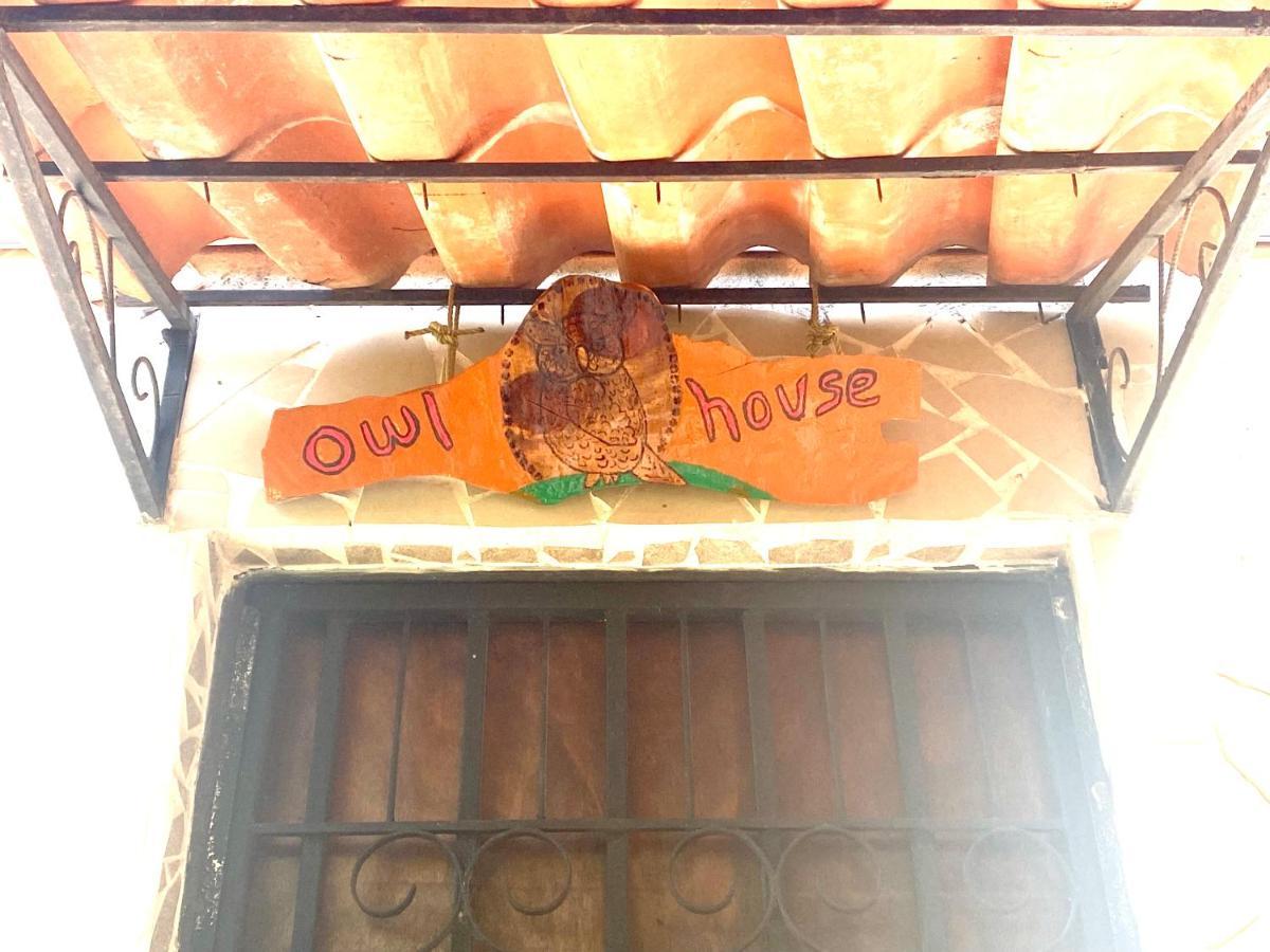 ホテル Owl House Piedades エクステリア 写真
