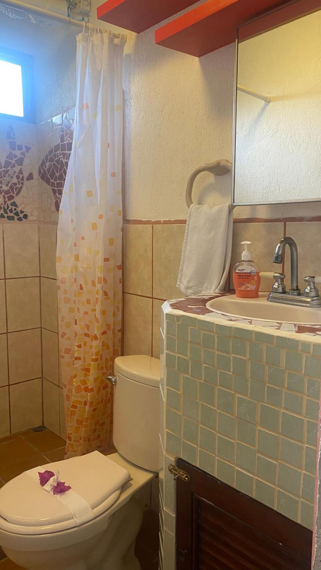 ホテル Owl House Piedades エクステリア 写真